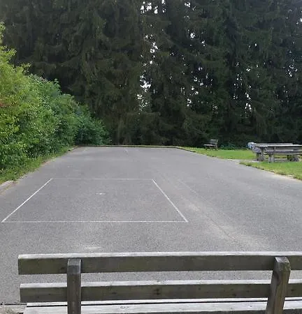 Pensionat Waldgasthof - Schiederhof 3*